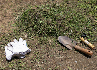 草刈り・剪定のイメージ